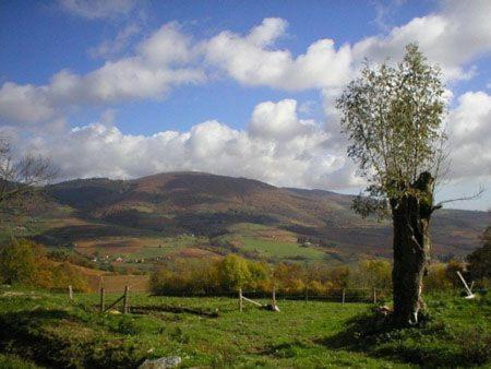 La Begude D'Amalthee Villa Vernay Exteriör bild
